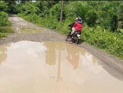 Puluah Tahun Tidak Direhab, Jalan Kabupaten Seperti Kubangan Kerbau